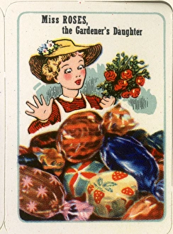 Cadburys Happy Families - Miss Roses Cadburys Happy Families - Miss Roses