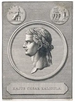 Antique Portraits For Sale Prints: Caligula / Phillips