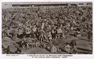 Camel Caravan Print, Landikotal NWFP circa 1920s