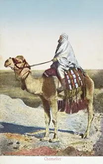 Camel Driver Print, circa 1910s