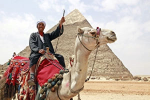 Camel and Pyramid of Khafre in Cairo, Egypt Camel and Pyramid of Khafre in Cairo, Egypt