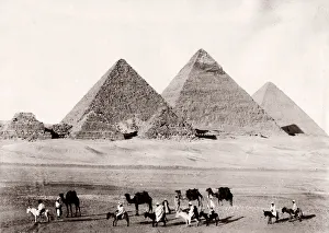 Camel train pyramids at Giza, Cairo, Egypt Camel train pyramids at Giza, Cairo, Egypt