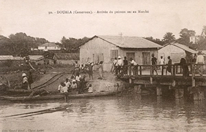 Cameroon - Douala - Arrival of the fish catch for market Cameroon - Douala - Arrival of the fish catch for market