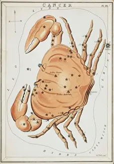 Astronomical Chart: Cancer Constellation Print, 1825