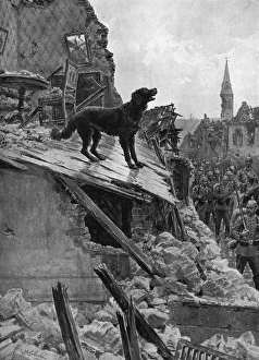 Canine Devotion in War Time, WW1 dog guarding home Canine Devotion in War Time, WW1 dog guarding home
