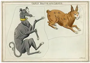 Prints of Canis Major (dog) and Lepus (hare) constellation Hare Prints: Canis Major Star Map Print
