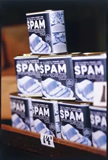 Money Prints: Cans of Spam 1940s Print: A Single Can on a Grocery Shelf