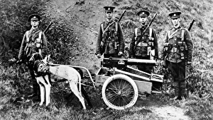 Captain H. Furber, of the 3rd Batt. Welsh Regiment, experiment in dog traction for Captain H. Furber, of the 3rd Batt. Welsh Regiment, experiment in dog traction for