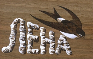 Name Card (in wood) with Swallow - Lena Name Card (in wood) with Swallow - Lena