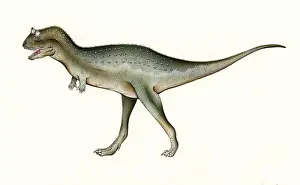 Carnivorous Dinosaurs Prints: Carnotaurus