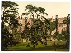 Old England Views Prints: The Castle, Berkeley, England