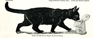 Cat and pail of milk, Mr Louis Wain at Home Cat and pail of milk, Mr Louis Wain at Home