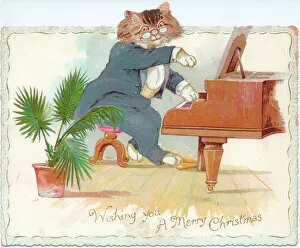 Cats Collection: Cat playing the piano on a Christmas card