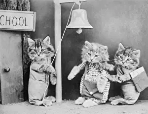 Vintage Cat Illustrations Prints: Cats Going to School