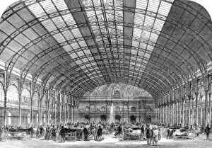 Images Dated 21st November 2004: Cattle Show at the Agricultural Hall, Islington, 1861