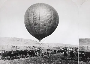 Cattle Pulling a Balloon Cart and Soldiers on Horses by ? Cattle Pulling a Balloon Cart and Soldiers on Horses by ?