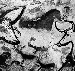 Cave art paintings, prehistoric discovery Cave art paintings, prehistoric discovery