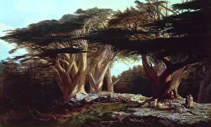 The Cedars of Lebanon, by Edward Lear The Cedars of Lebanon, by Edward Lear