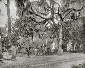 Cemetery of Bonaventure, Savannah, Georgia, USA Cemetery of Bonaventure, Savannah, Georgia, USA