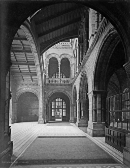 Central Hall, the Natural History Museum. 1882 Central Hall, the Natural History Museum. 1882