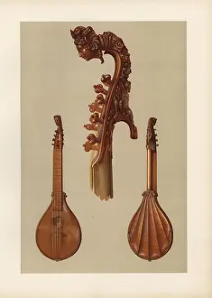 Alfred James Hipkins Musicologist Prints: Cetera or cither by the violin-maker Antonius
