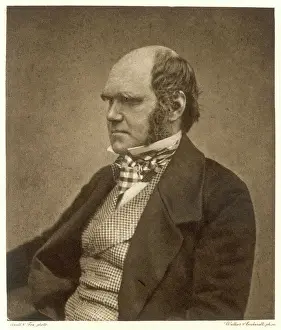 Charles Darwin Print circa 1854