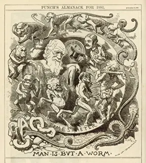 Charles Darwin Print: Man is but a Worm