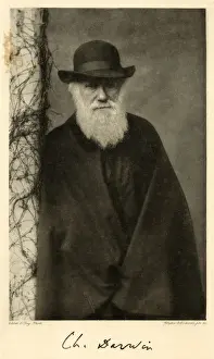 Prints of CHARLES DARWIN Naturalist Charles Darwin Prints: Charles Darwin Print