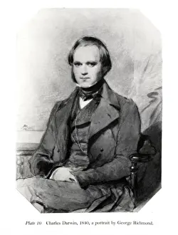 Naturalist Portraits Prints: Charles Robert Darwin