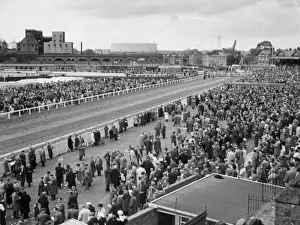 Prints of Scene overlooking the track at Chester Races, Cheshire, England. These popular horse races are held annually in May. Date: circa 1960 Chester Prints: Chester Races Scene Print, circa 1960