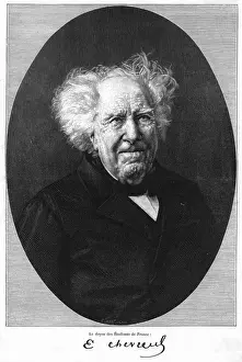 Historical Figure In Science Prints: Chevreul, Old Age