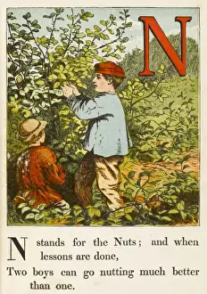 Children Picking Walnuts Print