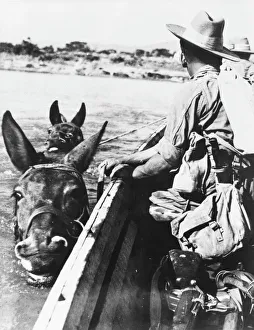 Chindits crossing the Great Chindwin River, Burma Chindits crossing the Great Chindwin River, Burma
