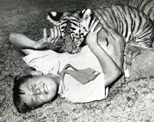 Chipperfields Circus Tiger Print by Kumar
