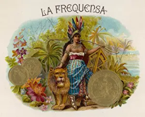 Exotic Lady with Lion Print