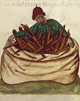 Cinnamon seller. Illustration from Tractatus Cinnamon seller. Illustration from Tractatus