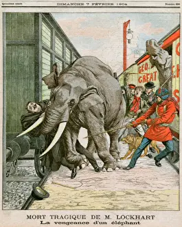 Circus Elephant Accident Print: Walthamstow Train Escape