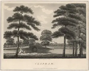 Clapham Common: A Picturesque View Print
