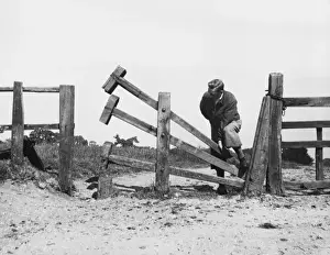 Cambridgeshire Countryside Prints: Clapper Stile