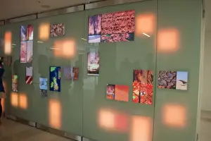 Natural History Museum Interior Prints: Climate Change Wall
