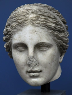 Cnidus Aphrodite. Marble sculpture. Roman copy of the 4th Cnidus Aphrodite. Marble sculpture. Roman copy of the 4th