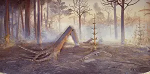Geological Prints: Carboniferous Coal Forest Diorama Print