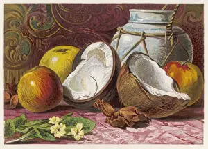 Tropical Fruit Display Prints: Coconuts and other Fruit