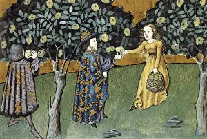 Gothic Art Miniature Painting Prints: Codex granatensis, h. 1400. Tacuinum sanitatis. Quince