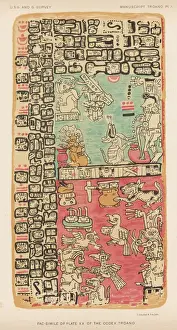 Maya Calendar Print - Plate XX