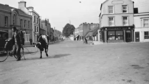 College Street - (Showing the Arbutus Hotel) College Street - (Showing the Arbutus Hotel)