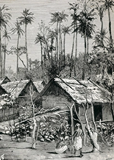 Colonial Africa (1883). Gulf of Guinea. Fernando Colonial Africa (1883). Gulf of Guinea. Fernando