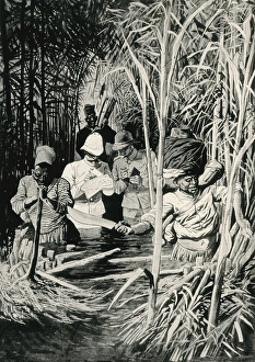 Colonial Africa. Delimitation of the new Franco-German Colonial Africa. Delimitation of the new Franco-German