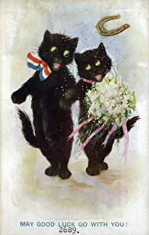 Cats Collection: Comic postcard, Two black cats getting married - Good Luck Date: circa 1918
