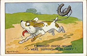 Comic postcard, Dog with horseshoe tied to tail Comic postcard, Dog with horseshoe tied to tail